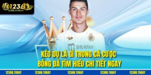 Kèo Dụ Là Gì Trong Cá Cược Bóng Đá Tìm Hiểu Chi Tiết Ngay